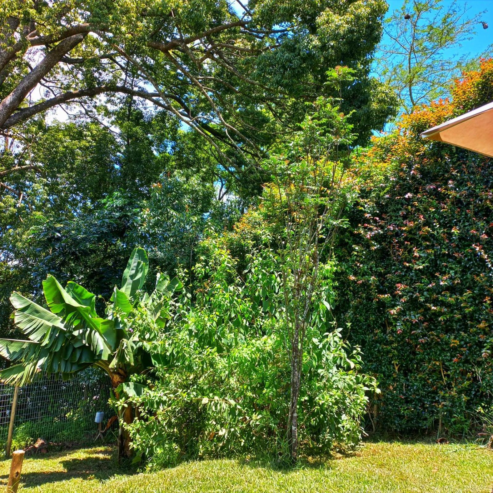 Highview Lodge Gillitts Exterior photo